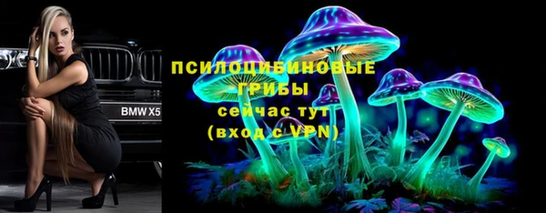 индика Сатка
