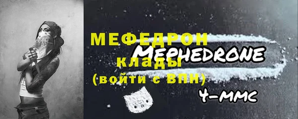 индика Сатка