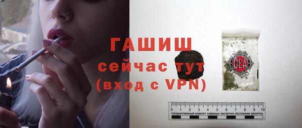 индика Сатка