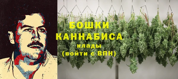 PSILOCYBIN Сафоново