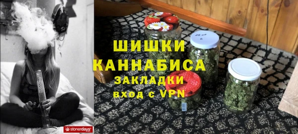 индика Сатка