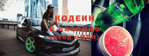 индика Сатка