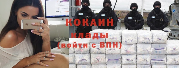 индика Сатка
