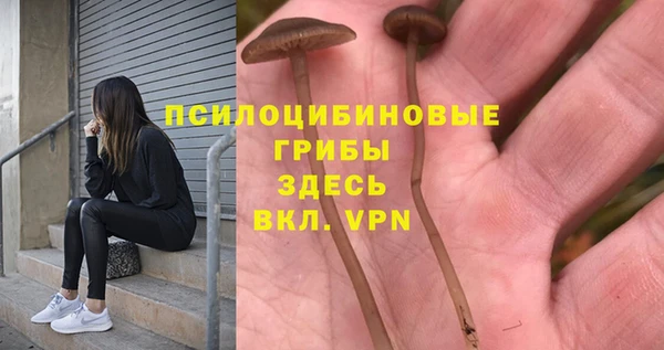 mix Саяногорск