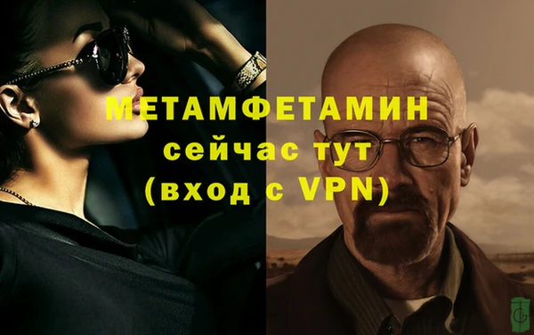 индика Сатка