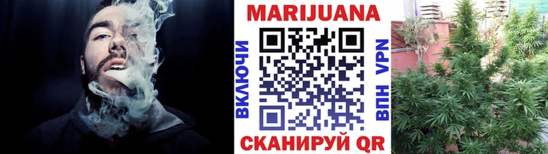 Бошки Шишки семена Инза